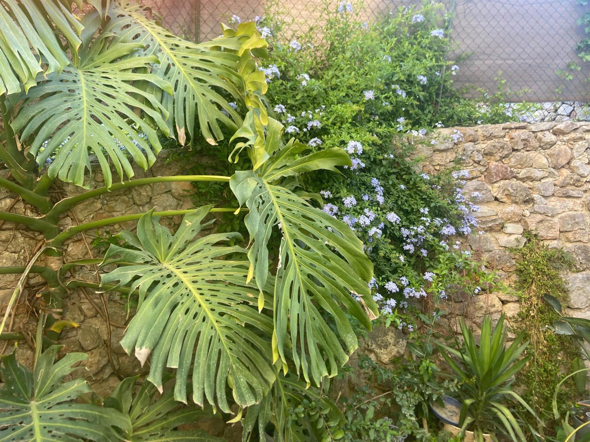 Appartement Studio 3 Personnes Avec Jardinet Mer Et Foret à La Farlède Extérieur photo